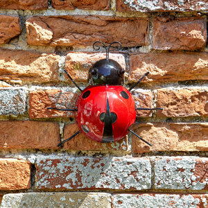 Garden Ornament Medium Ladybird