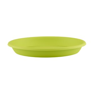Cilindro Green Saucers