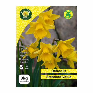 Daffodils Standard Value 3kg