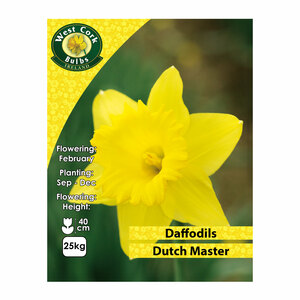 Daffodil Dutch Master 25Kg
