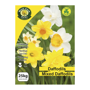 Daffodils Mixed Varieties Bulbs 25kg