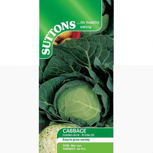 Suttons Seed Cabbage Golden Acre Primo 11