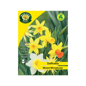 Dwarf Daffodils Mixed 10 Bulbs