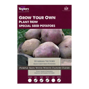 Main Crop Arran Victory Seed Potatoes 10 Pack