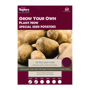 Piccolo Star Second Early Seed Potatoes 10 Pack