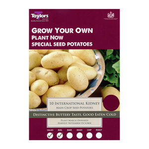 Main Crop International Kidney Seed Potatoes 10 Pack