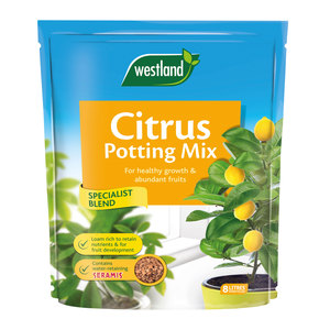 Westland Citrus Potting Mix 8L