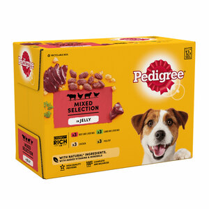 Pedigree Dog Food Pouches Adult Chicken Jelly 12x100g